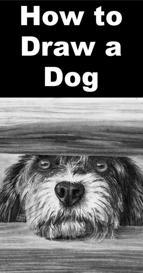 how-to-draw-a-dog-in-pencil-pin How To Draw Cool Stuff, How To Draw Sky, How To Draw A Dog, How To Draw Dogs, Draw Dark, Charcoal Drawing Ideas, Draw Dog, Draw Dogs, Dog Drawing Tutorial