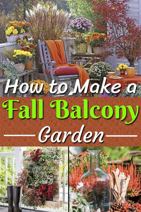 Get inspired to turn your condo balcony into a beautiful fall garden! Make it cozy and festive, so you can enjoy your outdoor space for as long as possible. #balcony #smallspace #balconygarden #fall #autumn #decoration #decorate #decor #garden #condo #apartment #apartmenttherapy #condos #homeowner #fallinspiration #falldecoration #outdoors #outdoor #patio #citylife Fall Balcony Decor, Autumn Balcony, Balcony Pics, Fall Balcony, Small Space Garden, Garden Creatures, Small Apartment Balcony Ideas, Balcony Garden Ideas, Fall Patio