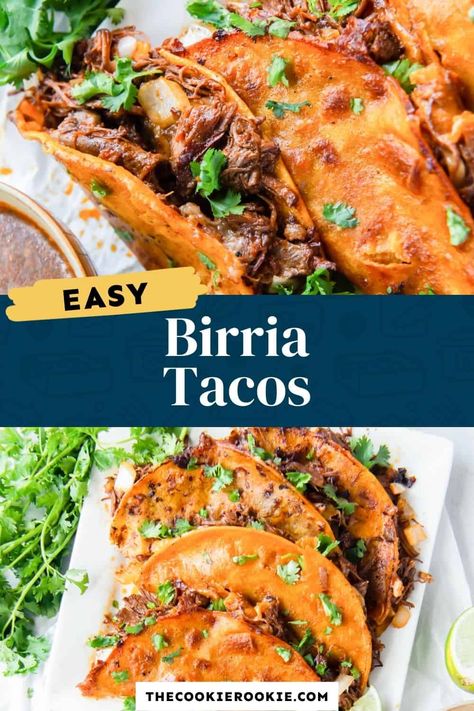 These Birria Tacos are supremely delicious! Melt in the mouth beef, rich in Mexican flavors, all mingling with melted cheese and wrapped in a crunchy tortilla. You have to give these a try! Mexican Bria Tacos, Quesabrilla Tacos Recipe, Quesobarilla Tacos, Baria Tacos Recipes, Easy Quesabirria Tacos Recipe, Birria Tacos Without Dried Peppers, Quesabarilla Tacos, Quesobrilla Tacos, Baria Taco