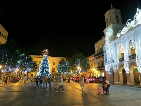 Christmas In Puerto Rico, Living In Puerto Rico, Puerto Rico Vacation, Christmas Lesson, Mormon Temple, Kings Day, San Juan Puerto Rico, Three Kings, The Plaza