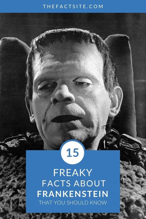 First Two Pages Of Frankenstein, A Level English Literature Frankenstein, Original Frankenstein, Terrifying Horror Movies, Frankenstein Literature, Frankenstein Novel, Boris Karloff Frankenstein, Frankenstein Book, The Modern Prometheus