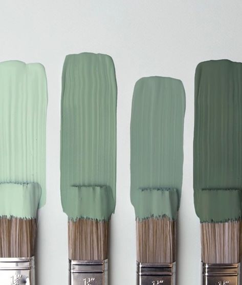 Green Paint Shades, Chalk Paint Colors Combinations, Paint Colour Ideas, Light Green Paint, Sage Green Paint, House Paint Color Combination, Connection With Nature, Sage Green Walls, Biophilic Design