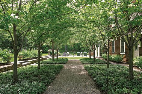 Glowing Grotto - Gregory Lombardi Design, Landscape Architecture Hospital Garden, Driveway Path, Tree Grove, Gravel Landscaping, Country Gentleman, Intimate Garden, Architecture Practice, Residential Landscape, Boston Design