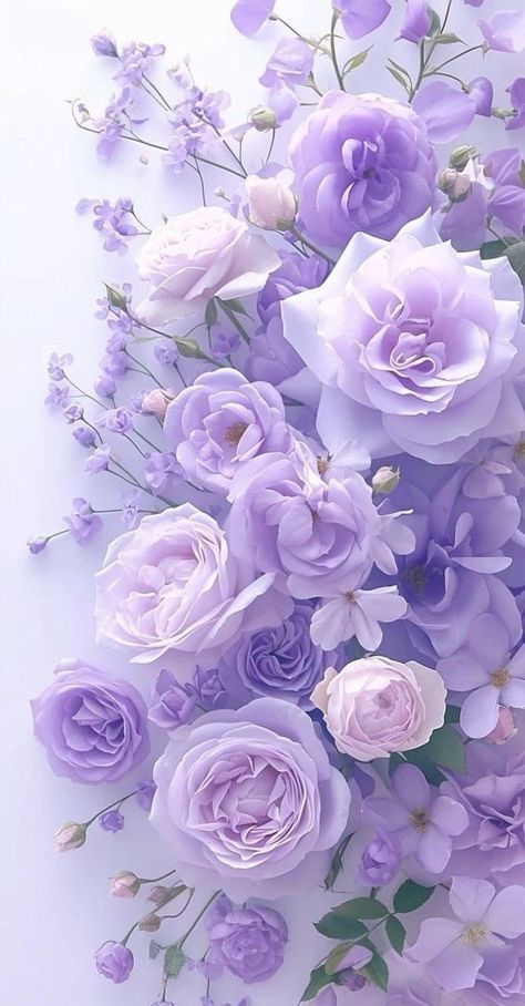 Pretty Purple Wallpapers, Purple And White Wallpaper, Purple Flower Background, Purple Flowers Wallpaper, Floral Wallpaper Iphone, Floral Wallpaper Phone, Pretty Phone Wallpaper, Lovely Flowers Wallpaper, Android Wallpaper Flowers