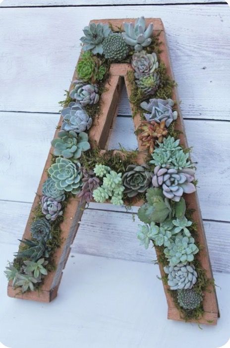 Table Decorations With Succulents, Succulents Graduation Party, Succulent Party Decor, Succulent Birthday Party Decorations, Succulent Themed Wedding, Succulent Party Ideas, Succulent Decorations Party, Succulent Birthday Party Ideas, Plant Themed Graduation Party