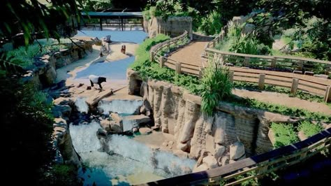 Zoo Layout, Zoo Habitats, Planet Zoo Habitat, Theme Park Planning, Prehistoric Kingdom, Zoo Boo, Zoo Games, Zoo Map, Planet Zoo Inspiration