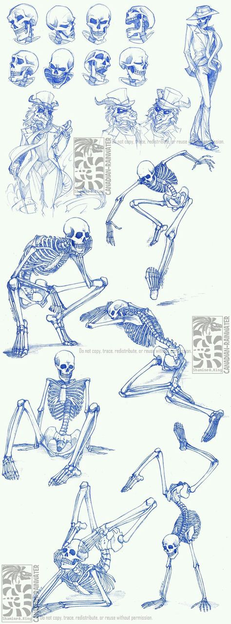 Skeleton Drawings, Human Body Parts, Drawing Simple, Sketchbook Pages, Anatomy Drawing, Poses References, Anatomy Reference, Skeletal, Anatomy Art