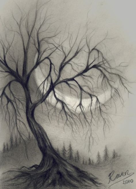 White Drawing, Black And White Drawing, A Drawing, A Tree, The Sky, The Moon, Pencil, Moon, Black And White