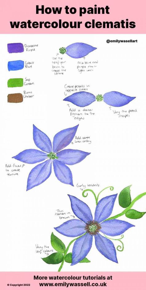 Clematis Flower Drawing, How To Paint Watercolour Flowers, Easy Flower Painting Watercolour, How To Paint Simple Flowers, Clematis Drawing, Watercolour Flowers Painting, Draw Flowers Watercolor, Learn Watercolor Painting, Clematis Flower