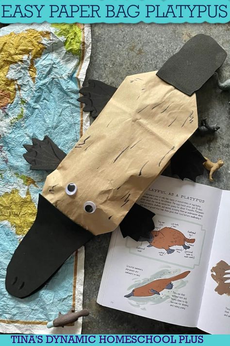 6 Australian Animal Craft Ideas | Easy Paper Bag Platypus. Not only do I have a craft for you, but I also have 6 more Australian Animal craft ideas to add to your unit studies. Also, look at this Hands-On Geography: Australia Awesome and Deadly Animal Art. I love an elaborate, involved, detailed craft as much as the next mom now and again but paper bag crafts like this adorable platypus prove that you don't always need expensive or complicated supplies. Platypus Craft Preschool, Australian Crafts For Preschoolers, Platypus Craft For Kids, Wombat Craft For Kids, Australia Crafts Preschool, Australia Activities Preschool, Australian Animal Craft, Australia Activities For Kids, Australian Animal Art