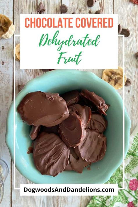 These chocolate covered dehydrated fruit pieces are a yummy way to eat healthier. Dipped in dark chocolate, this is a great way to gift some of your homegrown fruits. #dogwoodsanddandelions #fruit #preserving #dehydrating Dehydrated Bananas, Dehydrated Strawberries, Snacks Homemade, Christmas Gift Ideas Diy, Chocolate Covered Bananas, Ways To Eat Healthy, Chicken Keeping, Dehydrated Fruit, Chocolate Covered Cherries