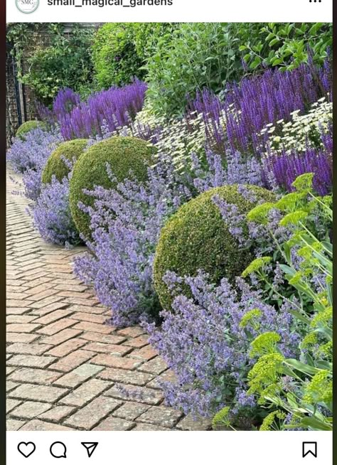 Buxus Garden Ideas, Purple Landscaping, Small Magical Garden, Lavender Hedge, Boxwood Garden, Landscaping On A Hill, Front Garden Landscape, Front Garden Design, Backyard Garden Landscape