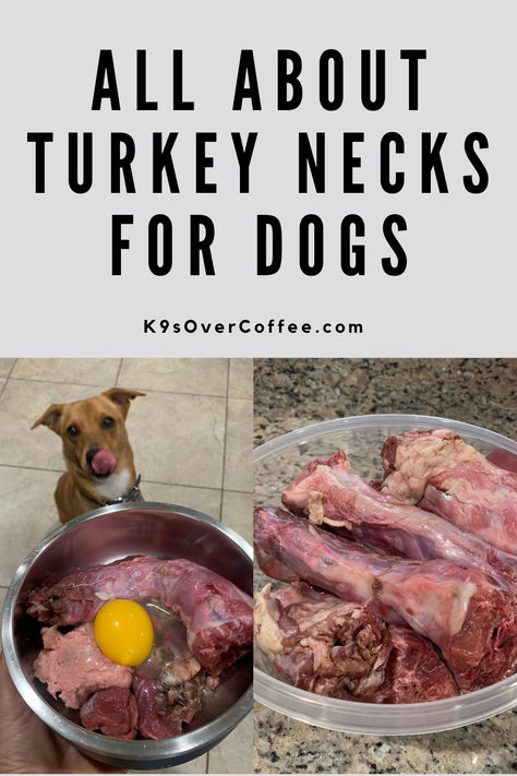 The left picture shows a brown dog who's sitting on tile floors and licking his chops over a stainless steel dog bowl with homemade raw dog food including a raw turkey neck. The right picture shows an open, round plastic bowl filled with raw turkey necks for dogs. Giblets Recipe, Veggie Meal Prep, Turkey Giblets, Turkey Dogs, Raw Dog Food, Dog Equipment, Turkey Neck, Neck Bones, Whole Turkey