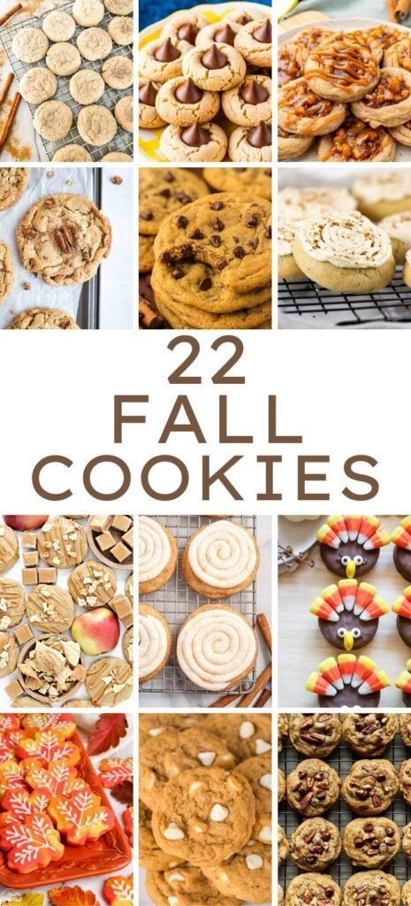 22 Fall Cookie Recipes to Celebrate the Season - ZEN AND HONEY Fall Snacks And Desserts, Unique Fall Cookies, September Cookie Ideas, Sweet Snack Recipes Simple, Fun Fall Cookie Recipes, Fall Recipes Cookies, Fall Inspired Baked Goods, Fall Cookie Bars Recipes, Fall Farmers Market Baked Goods