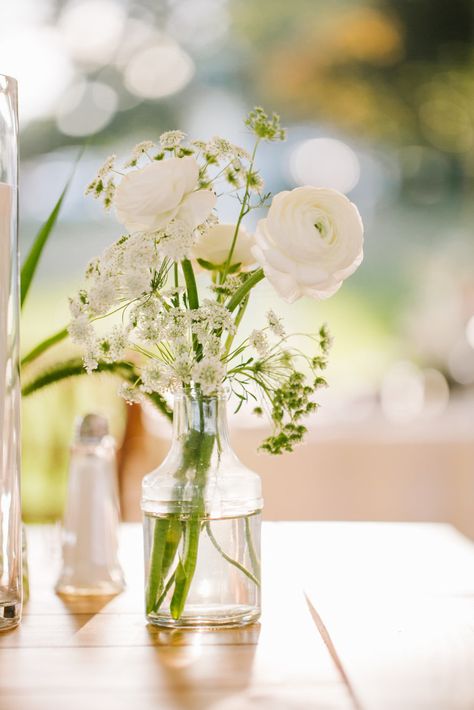 Romantic and simple bud vase with Ranunculus and Queen Anne's Lace. Blush Floral Design. Emily Tebbetts Photography Blush And White Bud Vase Centerpiece, Bud Vase With White Flowers, Green And White Bud Vases, White Winter Wedding Flowers Centerpieces, Queen Anne’s Lace Bouquet, White Bud Vase Centerpiece, Simple Bud Vase Flower Arrangements, Bud Vases White Flowers, White Floral Bud Vases