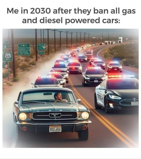 Mustang Humor, Funny Car Quotes, Sonic Videos, Car Jokes, Funny Car Memes, Mechanic Humor, Dumpster Diving, Car Memes, Drifting Cars