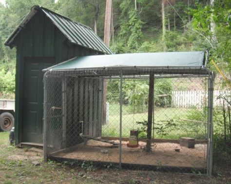 Covered Backyard, Sand Floor, Outside Dogs, Diy Dog Kennel, Chicken Coup, Coop Design, Dog House Diy, Building A Chicken Coop, Dog Door