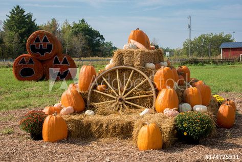 Harvest Display, Harvest Pictures, Fall Photo Booth, Autumn Backdrop, Fall Yard Decor, Fall Backdrops, Harvest Farm, Harvest Fest, Patch Ideas