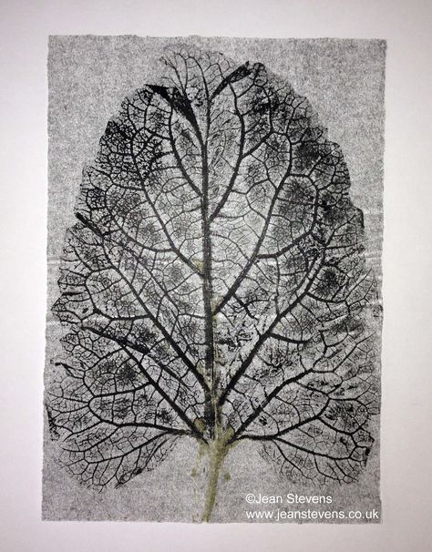 Example of Monoprint of a leaf, the texture and tone of the print is captured. Leaf Monoprint, Herbalist Kitchen, Gcse Sketchbook, Roller Blinds Design, Monoprint Art, Natural Form Art, Leaf Book, Art Assignments, Nature Projects