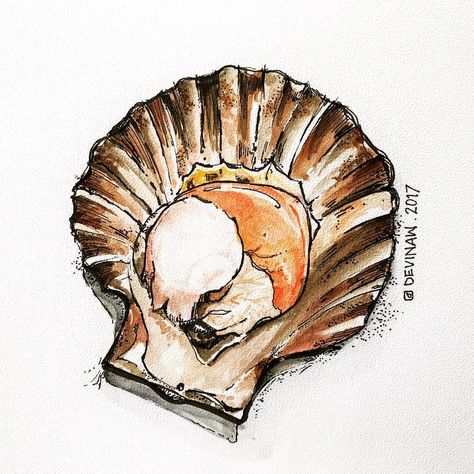 Shellfish Drawing, Scallop Drawing, Shell Drawing, Travel Art Journal, Sketch Daily, Urban Sketchers, Doodle Sketch, Food Drawing, Travel Art