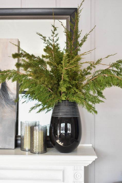 Winter evergreens in a black vase Winter Vase Decor, Winter After Christmas Decor, Winter Decorating After Christmas, Decorating After Christmas, Decor After Christmas, Faux Plants Decor, Winter Floral Arrangements, Vase With Branches, Winter Arrangements