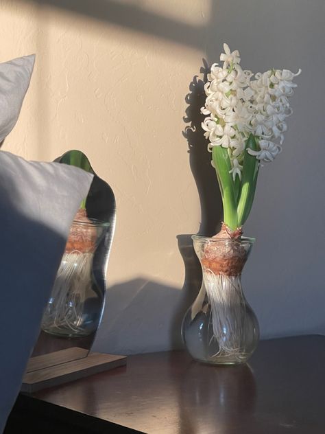 White Hyacinth Aesthetic, Hyacinth Bouquet Aesthetic, Hyacinths Aesthetic, Hyacinth Aesthetic, Hyacinth Bridgerton, Hyacinth Bouquet, White Hyacinth, Flower Therapy, Flowers Spring