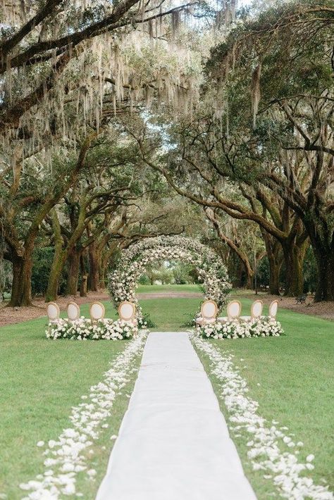 Willow Tree Wedding, Oak Tree Wedding, Wedding Venue Inspiration, Bridal Musings, Oak Trees, Tree Wedding, Southern Wedding, Big Wedding, Junebug Weddings