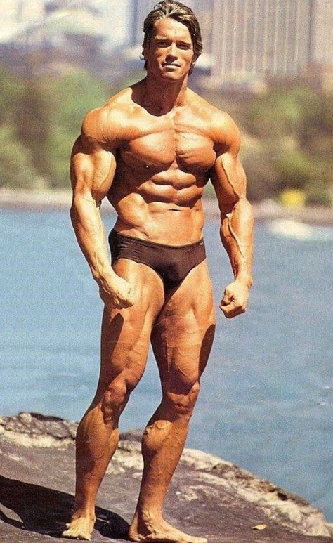 Arnold Schwarzenegger, Mr Olympia 1980 Arnold Schwarzenegger Physique, Arnold Physique, Arnold Schwarzenegger Back, Arnold Schwarzenegger Body, Building Motivation, Dream Physique, Arnold Schwarzenegger Bodybuilding, Frank Zane, Schwarzenegger Bodybuilding