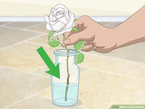 3 Ways to Dye Roses - wikiHow How To Dye Roses, Floral Dyeing, Dye Roses, Roses Purple, Diy Dye, Dye Flowers, Classic Flower, Water Food, Food Dye