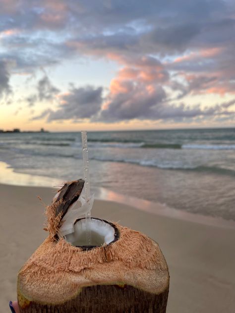 Coconut At The Beach, Vacation To Puerto Rico, Brujeria Puerto Rico, Travel Aesthetic Caribbean, Beach Aesthetic Puerto Rico, Puerto Rico Pictures Photography, Coconut On Beach, Puerto Rico Instagram Story, Puerto Rican Vacation