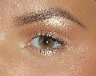 Coconut Oil Eyebrows, Arched Brows, Straight Eyebrows, Bushy Eyebrows, Small Eyes, Arch Brows, Arched Eyebrows, Filling In Eyebrows, Eyebrows On Fleek