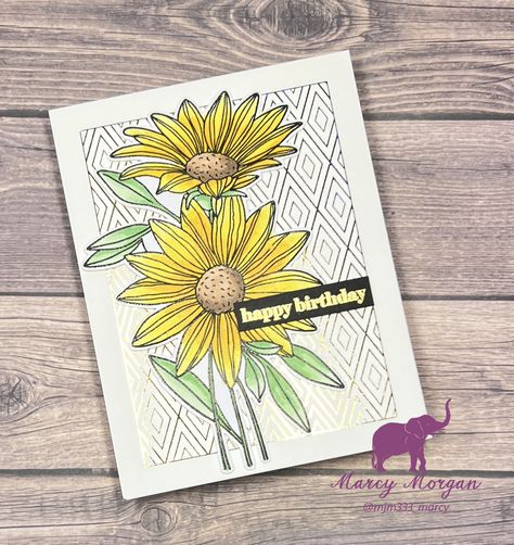 https://youtu.be/bbGvKfF1iUA Daisy Image, Gina K Designs, Deco Foil, Gina K, Hand Stamped Cards, Honey Bee Stamps, Concord And 9th, Floral Birthday, Taylored Expressions