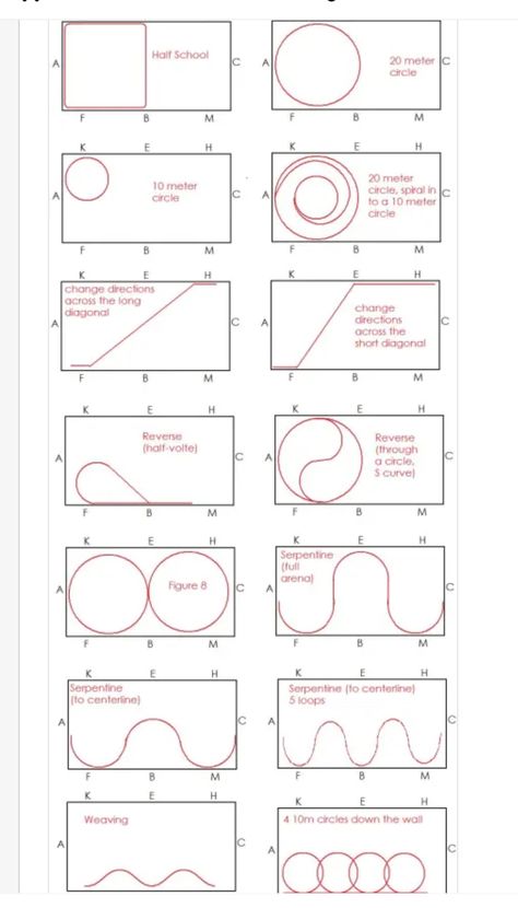 Flat Work Exercises For Horses, Horse Riding Exercises Flatwork, Ground Pole Exercises For Horses, Horse Pole Work, Horse Exercises Flatwork, Horse Jumping Courses, Flatwork Exercises Horses, Pole Exercises For Horses, Dressage Exercises Training