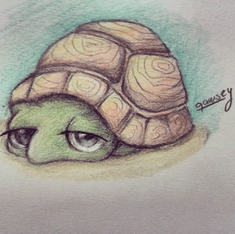 This picture displays a turtles face tucked into his shell which gives me ideas like what to replace his shell with etc. Cute Turtle Drawing Easy, Animal Sketches Easy, Cute Turtle Drawings, Tortoise Drawing, Turtle Sketch, Sea Turtle Drawing, Pencil Cartoon, Turtle Drawing, Sea Turtle Art