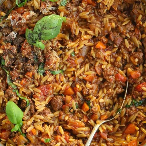 One Pot Orzo, Slow Cooker Beef Curry, Bbq Chicken Pasta, Minced Beef Recipes, Orzo Recipe, Chicken Fajita Pasta, Store Cupboard, Orzo Recipes, Bolognese Recipe