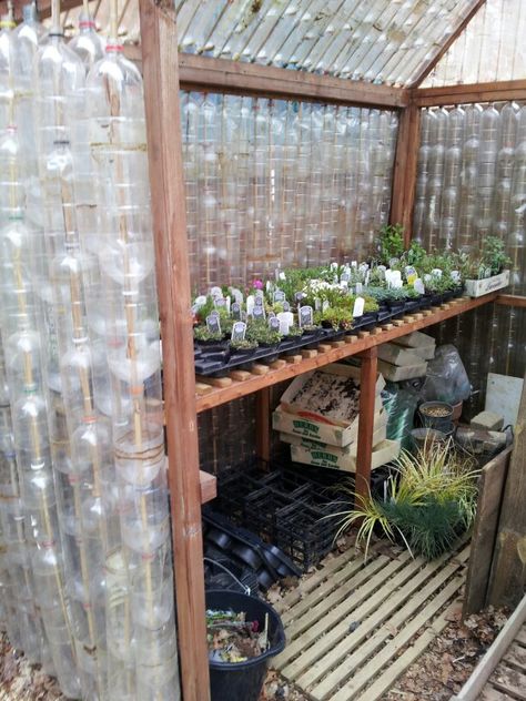 Greenhouse Room, Bottle Greenhouse, Plastic Bottle Greenhouse, Cheap Greenhouse, Modern Greenhouses, Belton House, House Uk, Outdoor Greenhouse, Build A Greenhouse