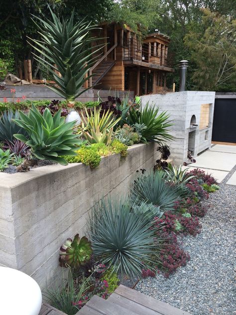 Succulent Landscape Design, Low Water Gardening, Drought Tolerant Garden, Succulent Landscaping, Drought Tolerant Landscape, Modern Landscape Design, Garden Area, Rock Garden Landscaping, Garden Landscape Design