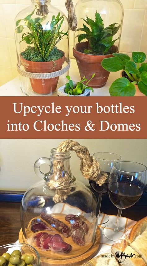 Glass Jugs Crafts, Glass Bottle Diy Projects, Upcycle Bottles, Container Crafts, Wine Crafts, Pure Aesthetic, Cactus Terrarium, Liquor Bottle Crafts, Pickle Jar