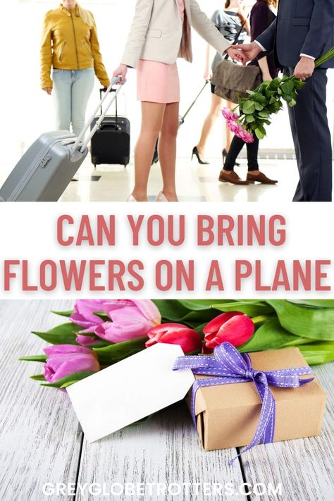 Want to take flowers on a plane? Checkout the TSA guidelines and exactly how to bring flowers on a plane - in your carry on or your checked luggage, plus tips on how to pack flowers for travel Carry On Bags, Checked Luggage, Airplane Travel, Cut Flowers, Fresh Flowers, Carry On, Flight, Travel Tips, Bring It On