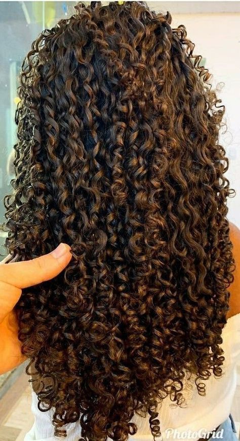 Mid Length 3b Curly Hair, Rezo Cut Curly Hair, Defined Curly Hair, 3b Natural Hair, Long Brown Curly Hair, Spiral Perm Long Hair, 3b Curls, Perfect Curly Hair, Curly Perm