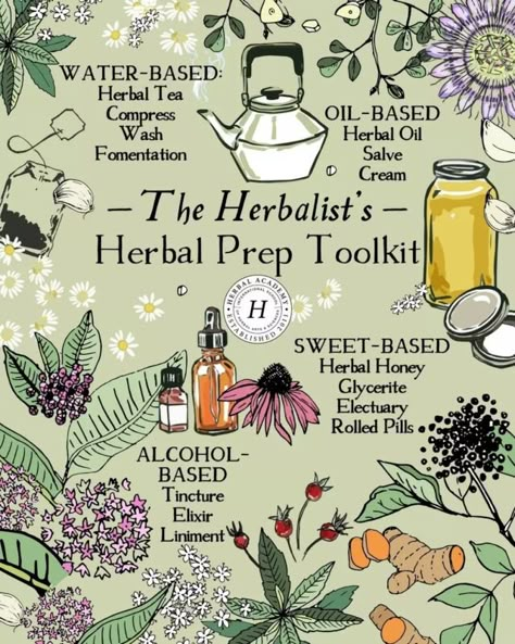 Herbal Witch, Herbal Academy, Herbal Education, Herbal Medicine Recipes, Herbal Remedies Recipes, Medical Herbs, Magic Herbs, Essential Oils Herbs, Magical Herbs