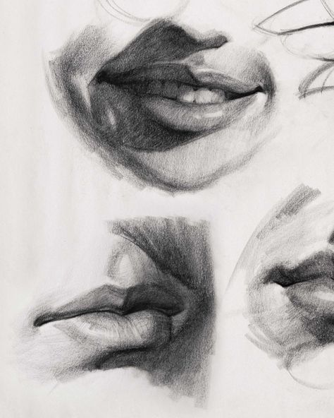 Drawing Anatomy Tutorial, Hatch Drawing, Lips Sketch, Drawing Anatomy, Lip Drawing, Abstract Portrait Painting, Anatomy Tutorial, Face Drawing Reference, Human Figure Drawing