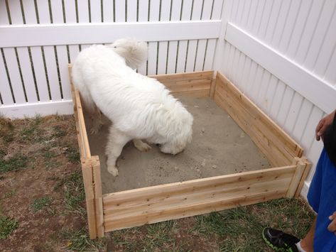 How to prevent your dog from digging by building a digging box. Dog Friendly Backyard, Diy Sandbox, Dog Playground, Puppy Cut, Dog Area, Dream Yard, Dog Exercise, Dog Hacks, Poodle Dog