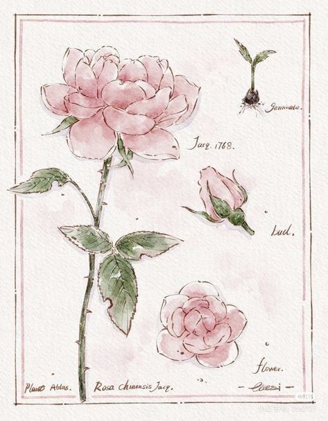 Flower Bouquet Drawing Reference, Mini Drawings Watercolor, Sketchbook Ideas Flowers, Pretty Flowers Drawing, Different Flowers Drawings, Rose Simple Drawing, Pink Rose Sketch, Flower Arrangement Drawing, Pink Flowers Drawing