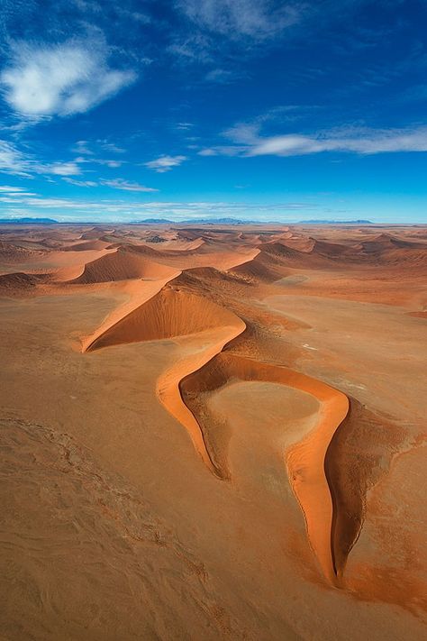 Namibia Desert, Kalahari Desert, Desert Sahara, Deserts Of The World, Namib Desert, Desert Life, Desert Landscaping, In The Desert, Sand Dunes