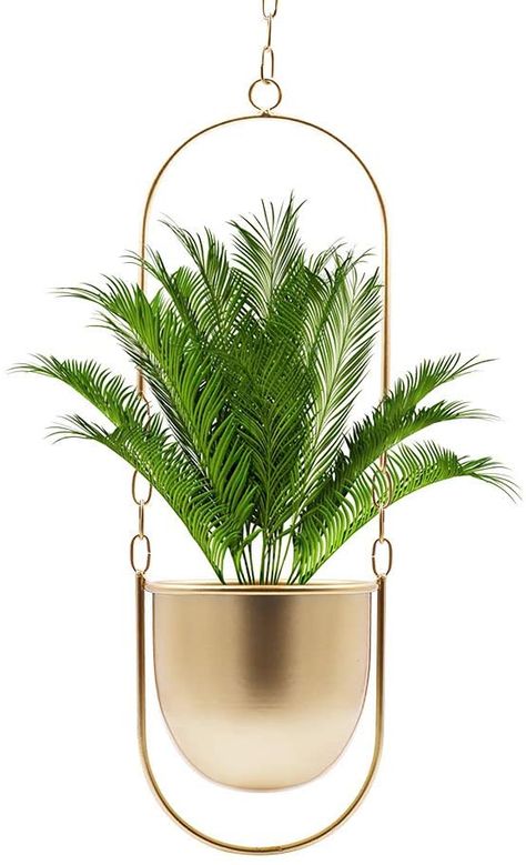 Amazon.com: Hoobbii Hanging Planters-Metal Plant Hanger, Simple Modern Planter, Hanging Planters for Indoor Plants, Home Decoration Hanging Flower Pot (Gold) : Patio, Lawn & Garden Amazon Hanging Planters, Balcony Hanging Plants, Wall Plants Indoor, Florida Apartment, Diy Planters Indoor, Planters For Indoor Plants, Metal Plant Hangers, Raffles Hotel, Plant Display Ideas