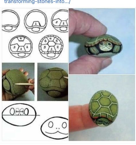 Painting Turtles, Turtle Painted Rocks, Turtle Rock, Rock Painting Tutorial, Diy Rock Art, Painted Rock Animals, Painted Rocks Kids, Painted Rocks Diy, Rock Painting Ideas Easy