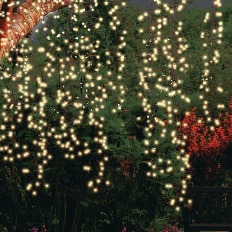 Outdoor String Lights for Every Budget | At Home Yard String Lights, Hanging Tree Lights, Outdoor Tree Lighting, Beautiful Gardens Landscape, Cascade Lights, Modern Backyard Landscaping, Outdoor Trees, Led Tree, Yard Lights