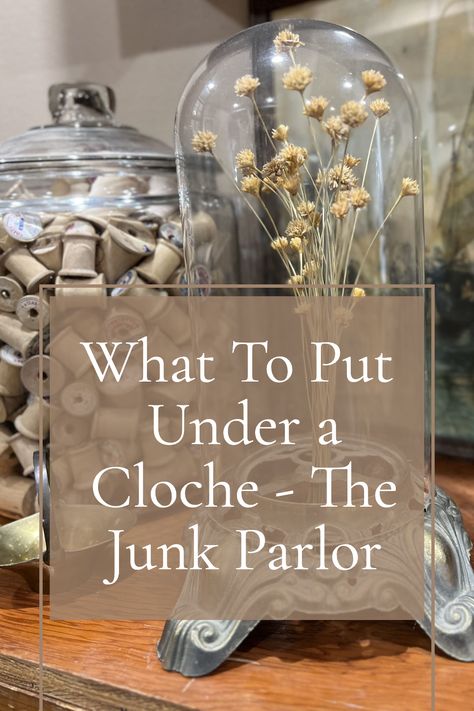 Do you ever wonder what to put under a cloche? If so, then this is the perfect place to find out! With their unique selection of vintage treasures and eclectic finds, you are sure to find inspiration for what to put under your cloche. Ideas For Cloche, Vintage Cloche Decor, Farmhouse Cloche Ideas, Glass Bell Jar Ideas, How To Make A Cloche, Tall Cloche Ideas, Spring Cloche Ideas Vignettes, Cloche Styling Glass Domes, Metal Cloche Decor