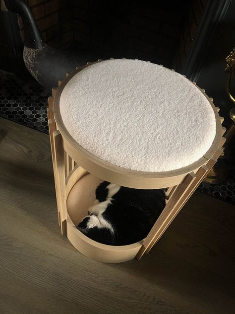 Tuft + paw – more new modern cat furniture Modern Cat Furniture, Great Cat, Cat Parenting, Modern Cat, Grey Stain, Cat Tower, Recycling Bins, Cat Furniture, Furniture Companies